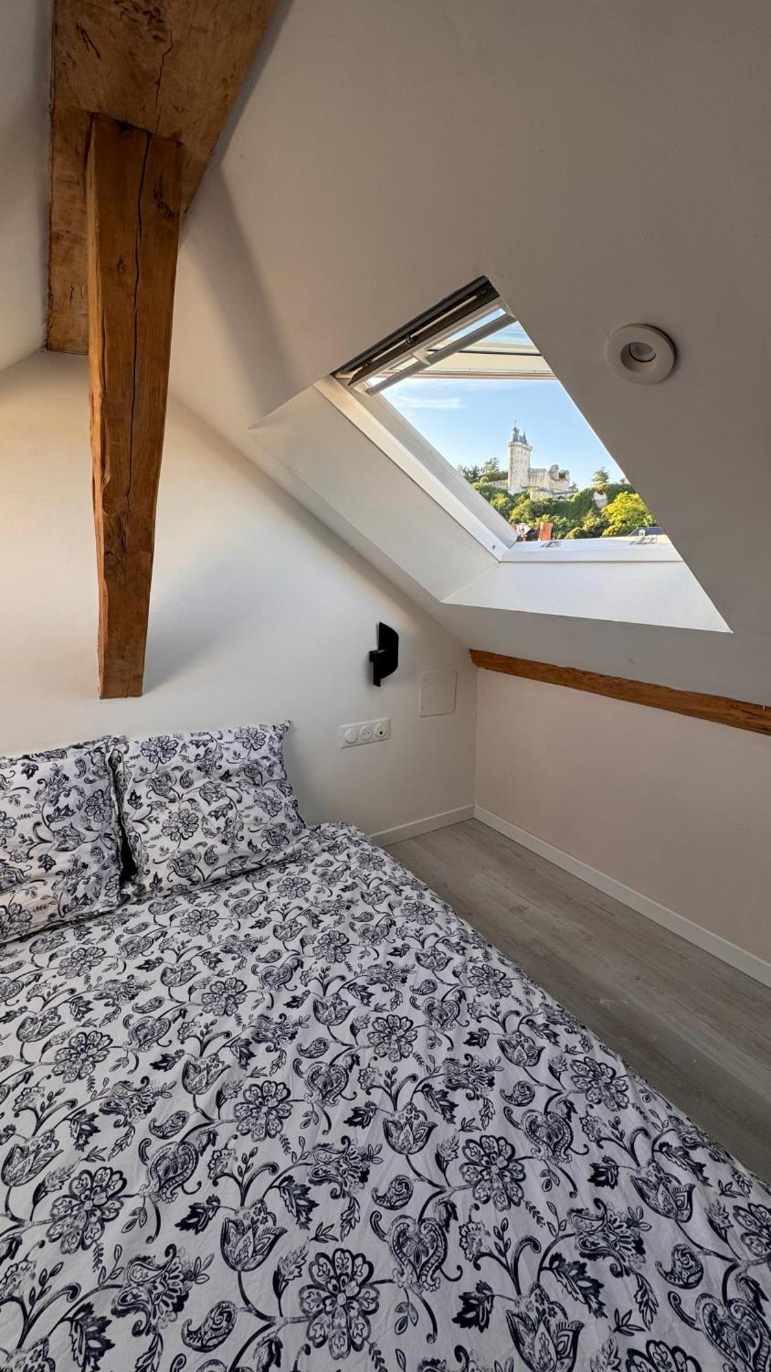 Le Rabelais Appartement Chinon