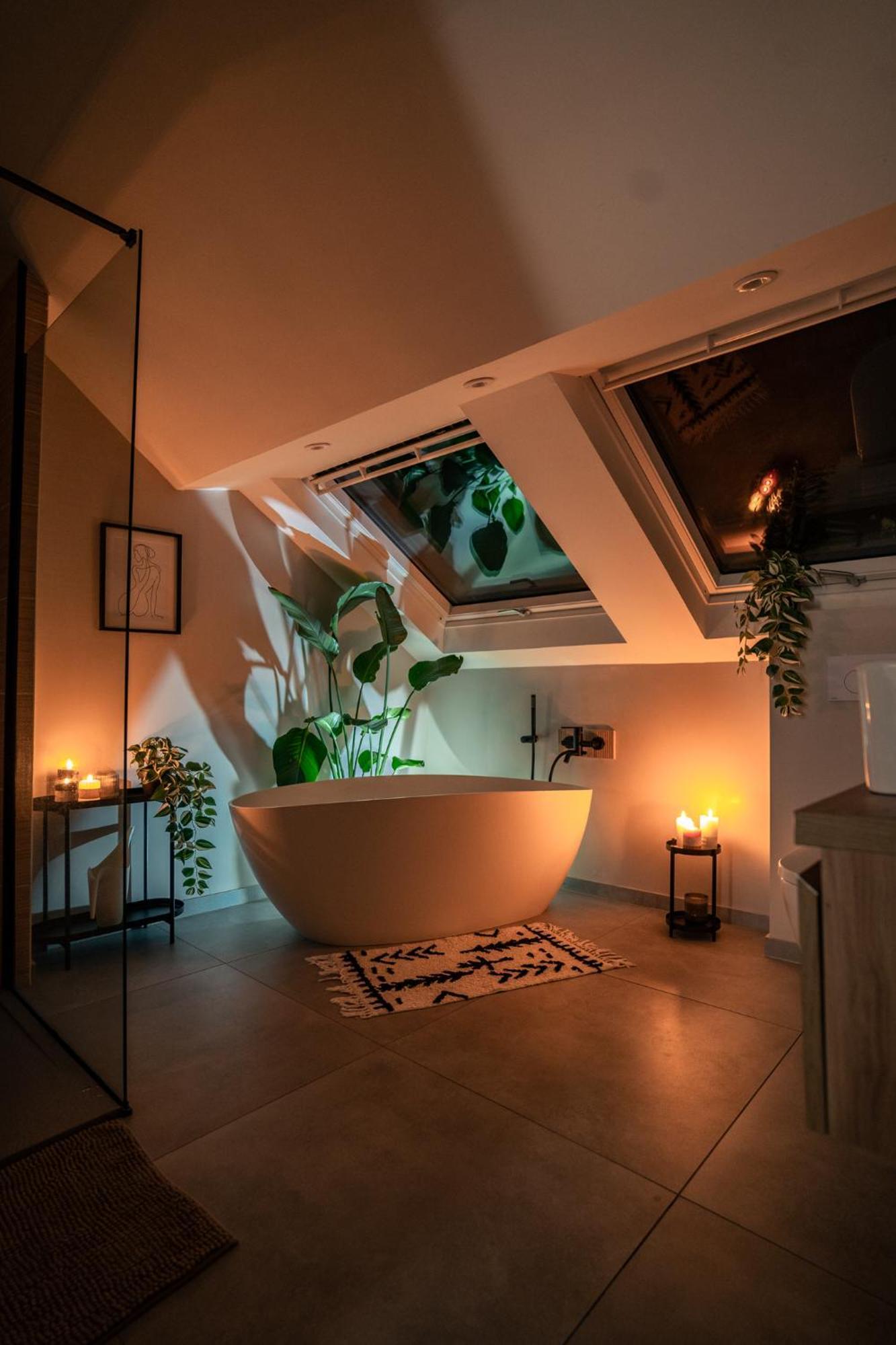 Le Rabelais Appartement Chinon